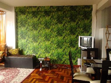 Apartamento de vacaciones en 00000 (Cusco)Casa de vacaciones