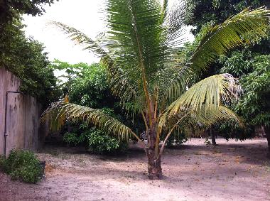 Villa en lom� (Lome)Casa de vacaciones