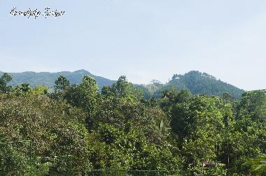 Casa de vacaciones en Elkaduwa (Matale)Casa de vacaciones