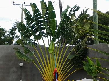 Villa en Calodyne (Pereybere)Casa de vacaciones