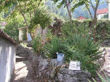 Apartamento de vacaciones en Venaco (Haute-Corse)Casa de vacaciones