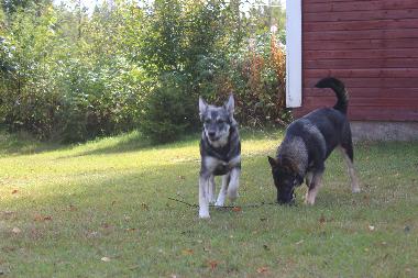 Casa de vacaciones en Vidsel (Norrbotten)Casa de vacaciones