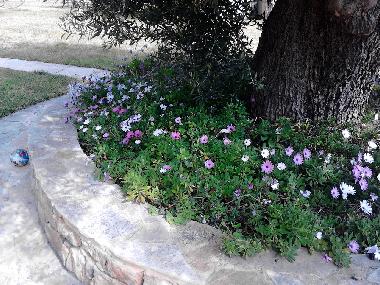 Apartamento de vacaciones en kassandra (Chalkidiki)Casa de vacaciones