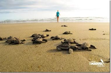 Apartamento de vacaciones en Bejuco (Guanacaste)Casa de vacaciones