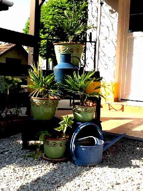 Cama y desayuno en Pet�fisz�ll�s (Bacs-Kiskun)Casa de vacaciones