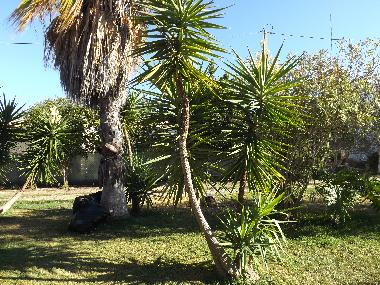 Apartamento de vacaciones en St. Barabara de nexe / Bela Salema (Algarve)Casa de vacaciones