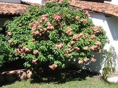 Casa de vacaciones en MARIC� (Rio de Janeiro)Casa de vacaciones