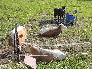 Casa de vacaciones en Auttoinen (Padasjoki) (Etela-Suomen Laani)Casa de vacaciones