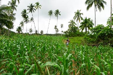Casa de vacaciones en Siquijor (Siquijor)Casa de vacaciones