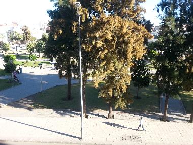 Apartamento de vacaciones en tanger (Tanger)Casa de vacaciones