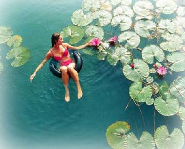 Apartamento de vacaciones en Heviz (Heves)Casa de vacaciones