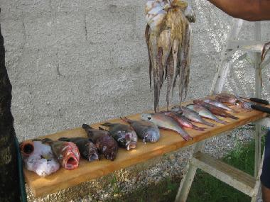 Cama y desayuno en el limon (Samana)Casa de vacaciones