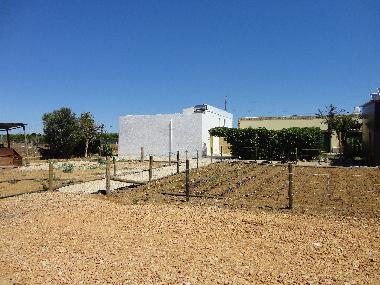 Casa de vacaciones en Faro (Algarve)Casa de vacaciones