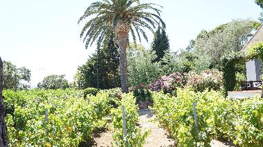 Villa en grimaud (Var)Casa de vacaciones