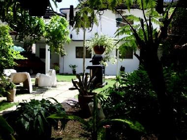 IMAGEN DESDE EL INVERNADERO DEL JARDIN