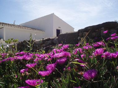 Apartamento de vacaciones en Comares (Mlaga)Casa de vacaciones