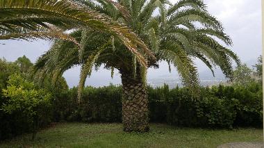 Apartamento de vacaciones en Maier (Cosenza)Casa de vacaciones