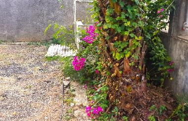 Villa en Pereybere (Pereybere)Casa de vacaciones