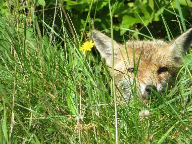 Casa de vacaciones en Montpensy (Ni�vre)Casa de vacaciones