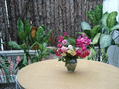 Terraza con flores