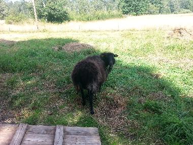 Casa de vacaciones en Oskarshamn (Smaland)Casa de vacaciones