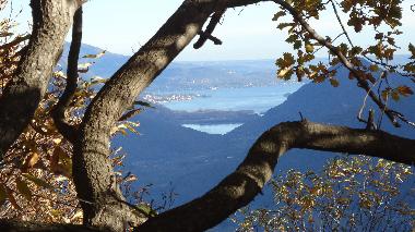 Apartamento de vacaciones en colloro (Verbano-Cusio-Ossola)Casa de vacaciones