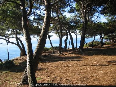 Apartamento de vacaciones en Pula (Istarska)Casa de vacaciones