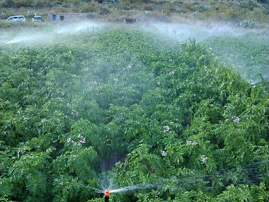 Villa en Teror (Gran Canaria)Casa de vacaciones