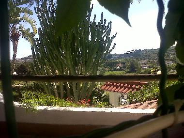 vista sobre el Emperor punta