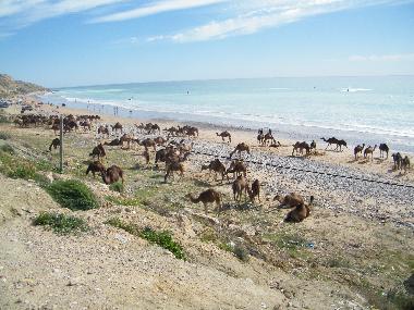 Casa de vacaciones en tamraght (Agadir)Casa de vacaciones