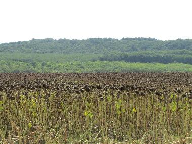 Villa en Botevo (Yambol)Casa de vacaciones