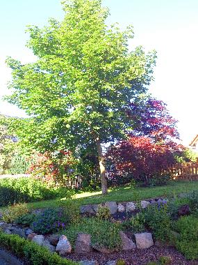 Apartamento de vacaciones en Vohenstrau (Oberpfalz)Casa de vacaciones