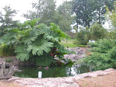 Casa de vacaciones en plounevez moedec (Ctes-d'Armor)Casa de vacaciones