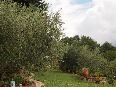 Apartamento de vacaciones en Firenze (Firenze)Casa de vacaciones