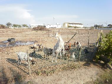 Casa de vacaciones en Palmela (Pen�nsula de Set�bal)Casa de vacaciones