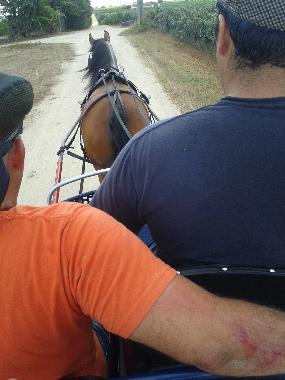 Casa de vacaciones en Palmela (Pen�nsula de Set�bal)Casa de vacaciones