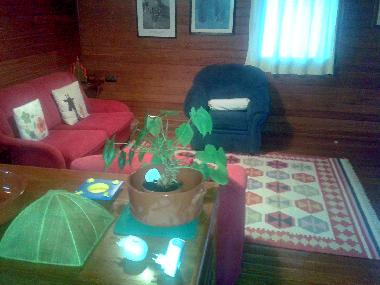 Casa de vacaciones en Palmela (Pen�nsula de Set�bal)Casa de vacaciones