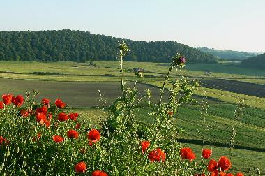 Apartamento de vacaciones en Campagnano di Roma (Roma)Casa de vacaciones