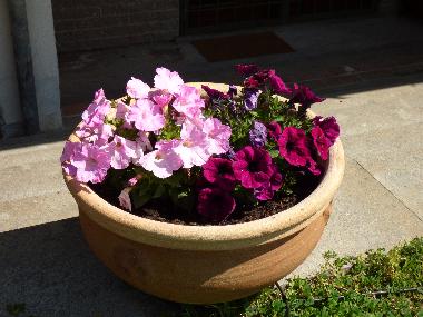 Apartamento de vacaciones en Campagnano di Roma (Roma)Casa de vacaciones