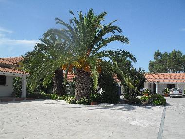 Cama y desayuno en Fernao Ferro, Seixal (Pen�nsula de Set�bal)Casa de vacaciones