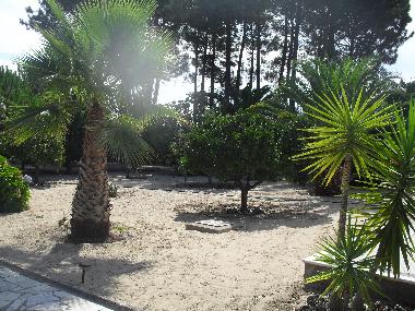 Cama y desayuno en Fernao Ferro, Seixal (Pen�nsula de Set�bal)Casa de vacaciones