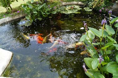 Apartamento de vacaciones en Banjole-Medulin-Pula-Istrien-Kroatien (Istarska)Casa de vacaciones