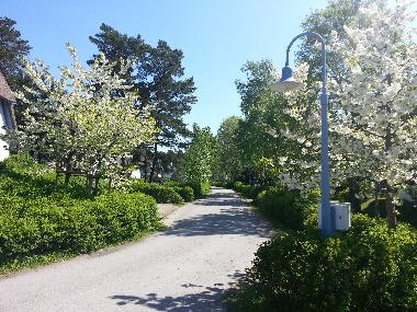 Apartamento de vacaciones en Zingst (Fischland-Dar-Zingst)Casa de vacaciones