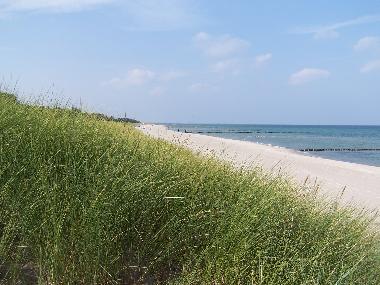 Apartamento de vacaciones en Zingst (Fischland-Dar-Zingst)Casa de vacaciones
