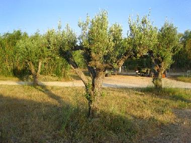 Casa de vacaciones en Beniarbeig (Alicante / Alacant)Casa de vacaciones