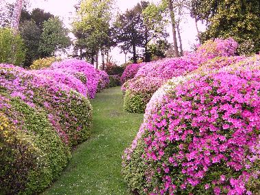 Apartamento de vacaciones en Griante Cadenabbia (Como)Casa de vacaciones