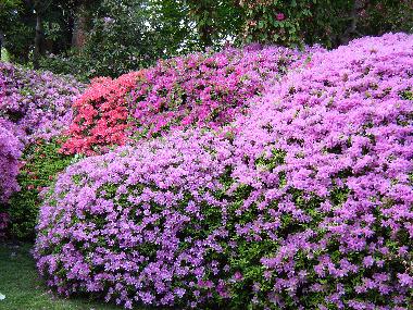 Apartamento de vacaciones en Griante Cadenabbia (Como)Casa de vacaciones
