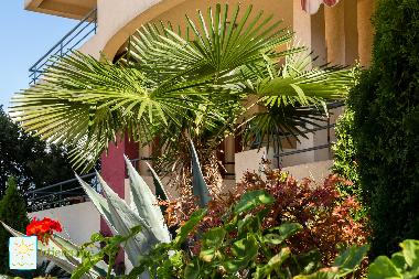 Apartamento de vacaciones en Bar-Utjeha (Montenegro)Casa de vacaciones