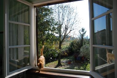 Cama y desayuno en Lucca (Lucca)Casa de vacaciones