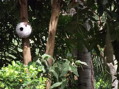 Villa en Panadura (Colombo)Casa de vacaciones